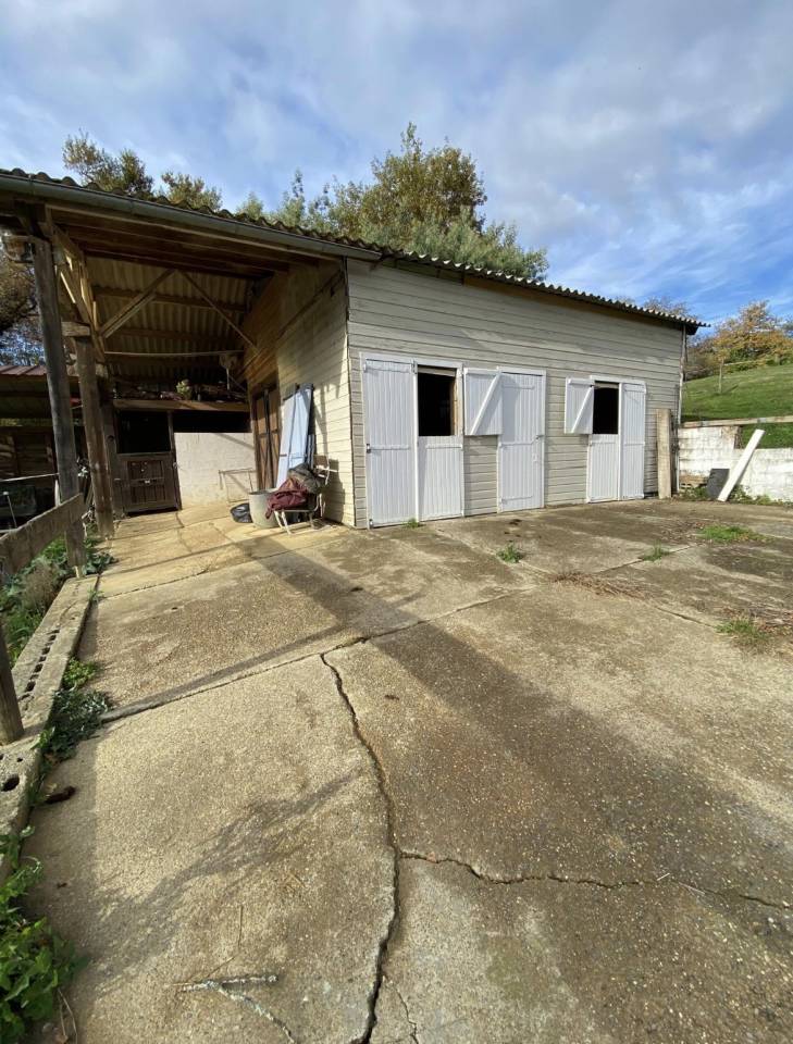 Pension chevaux - &Eacute;curie de Bouielh - 64 GARLIN