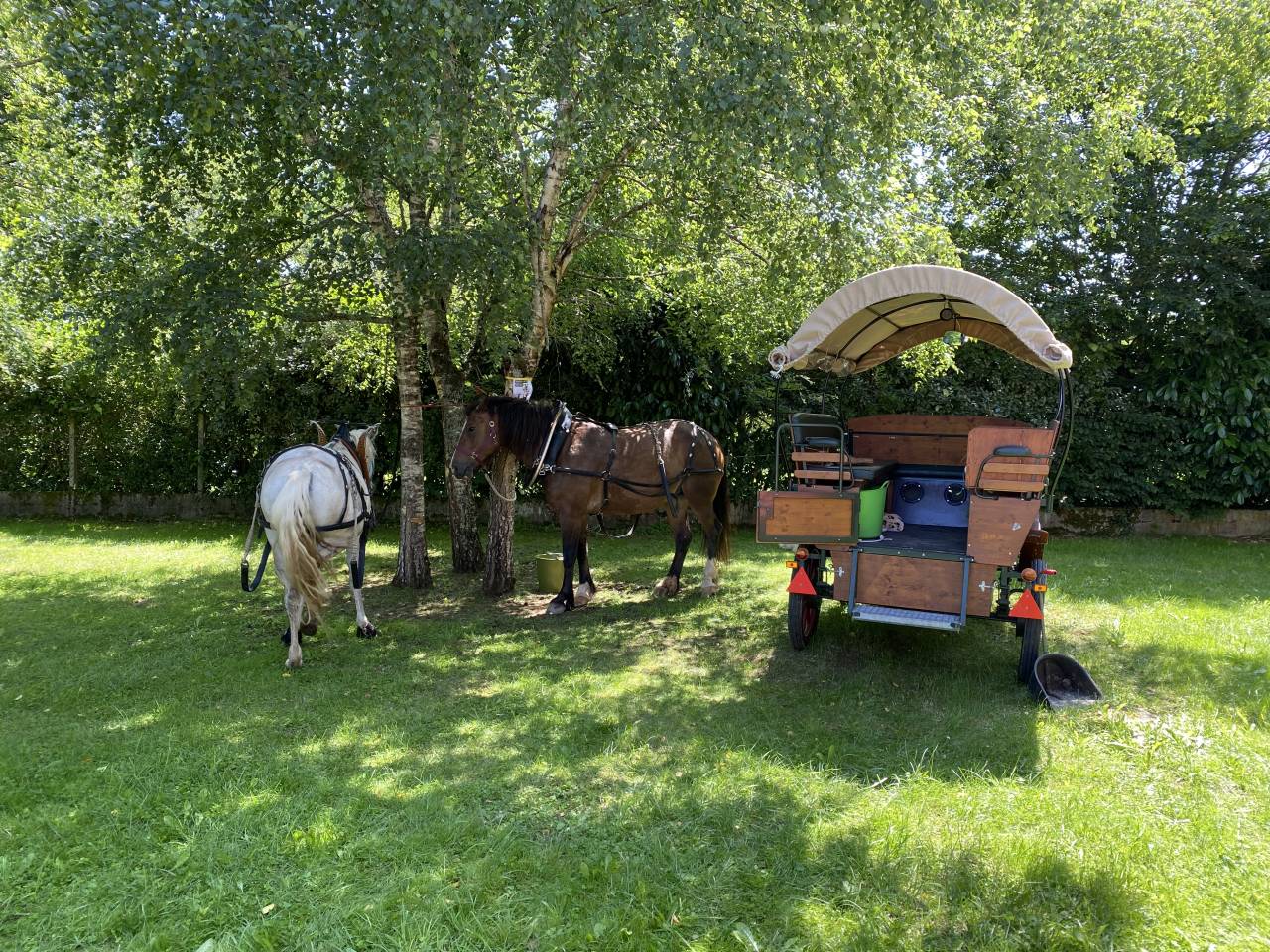 A vendre chariot western / camping-car