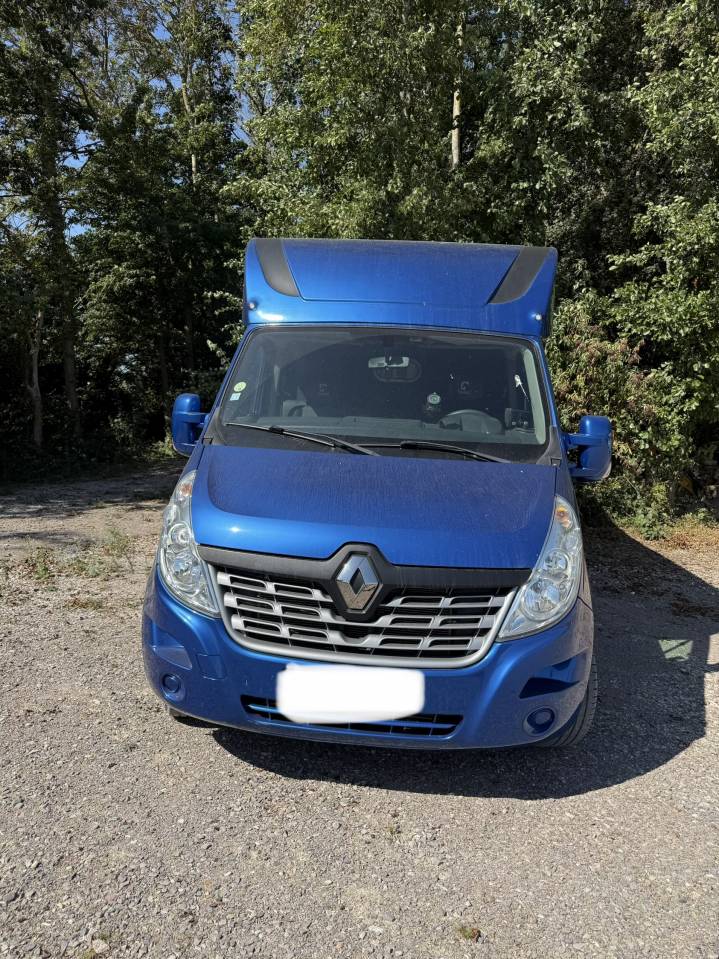 Camion chevaux Theault ann&eacute;e 2019