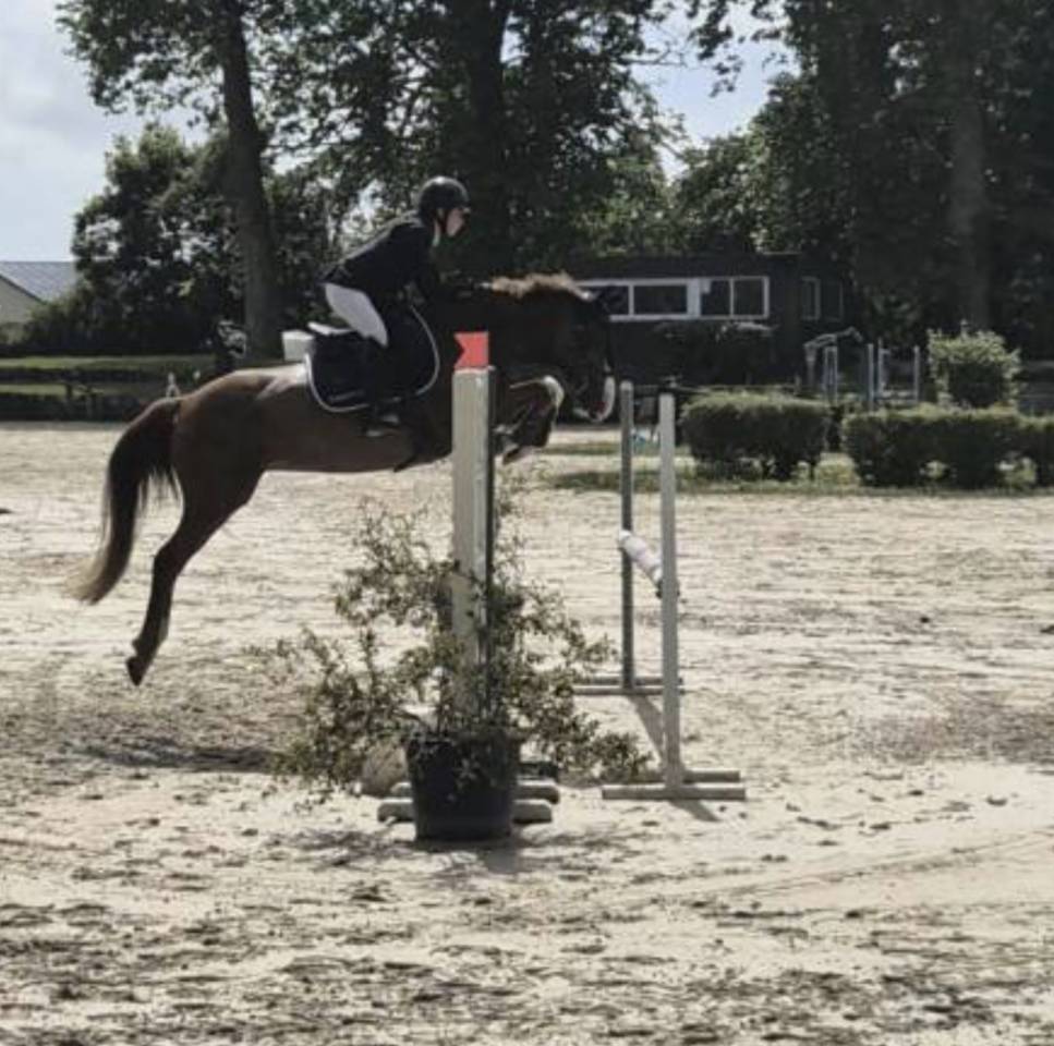 Ponette de 7 ans