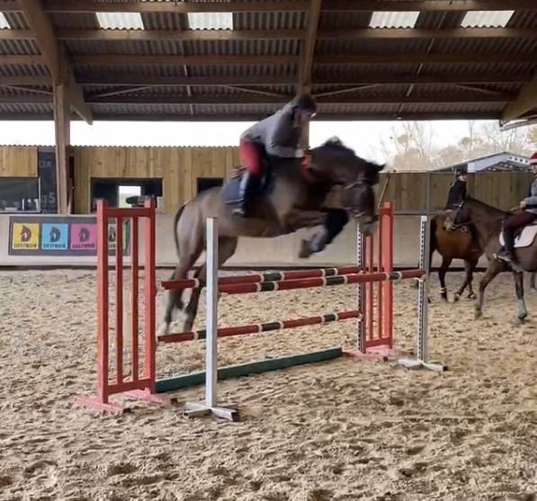 Petit cheval PFS Cat : E