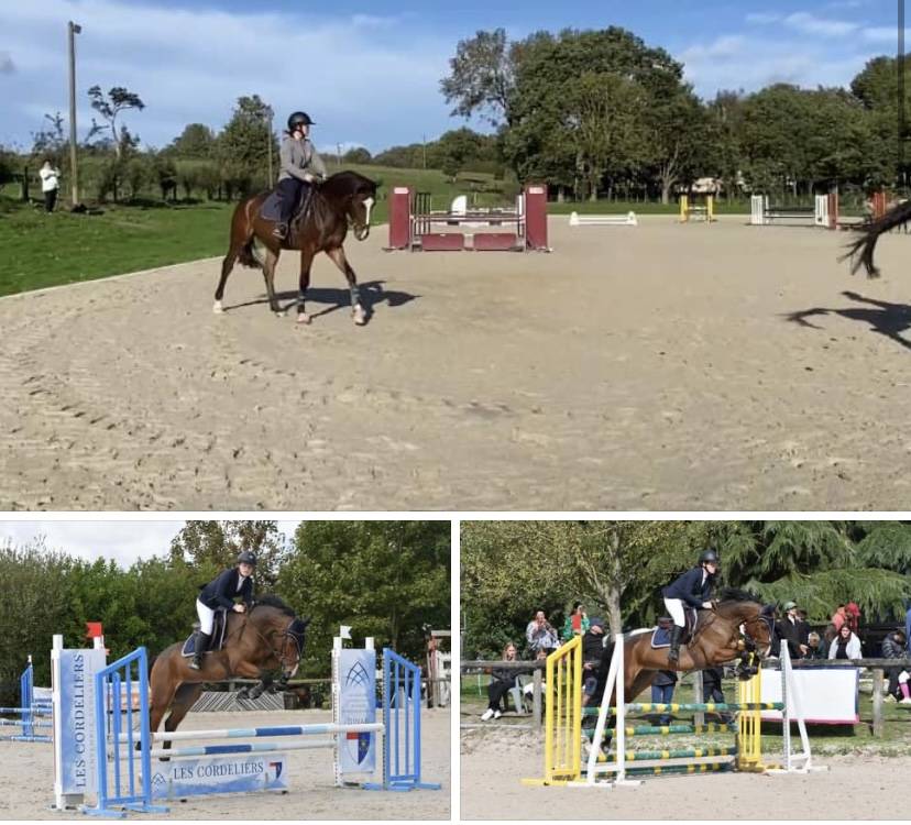 Petit cheval PFS Cat : E