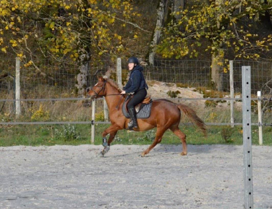 PONETTE 7 ANS  1.40