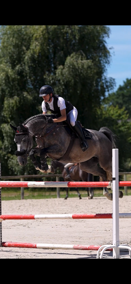 Jument 7 ans id&eacute;al amateur &eacute;lite