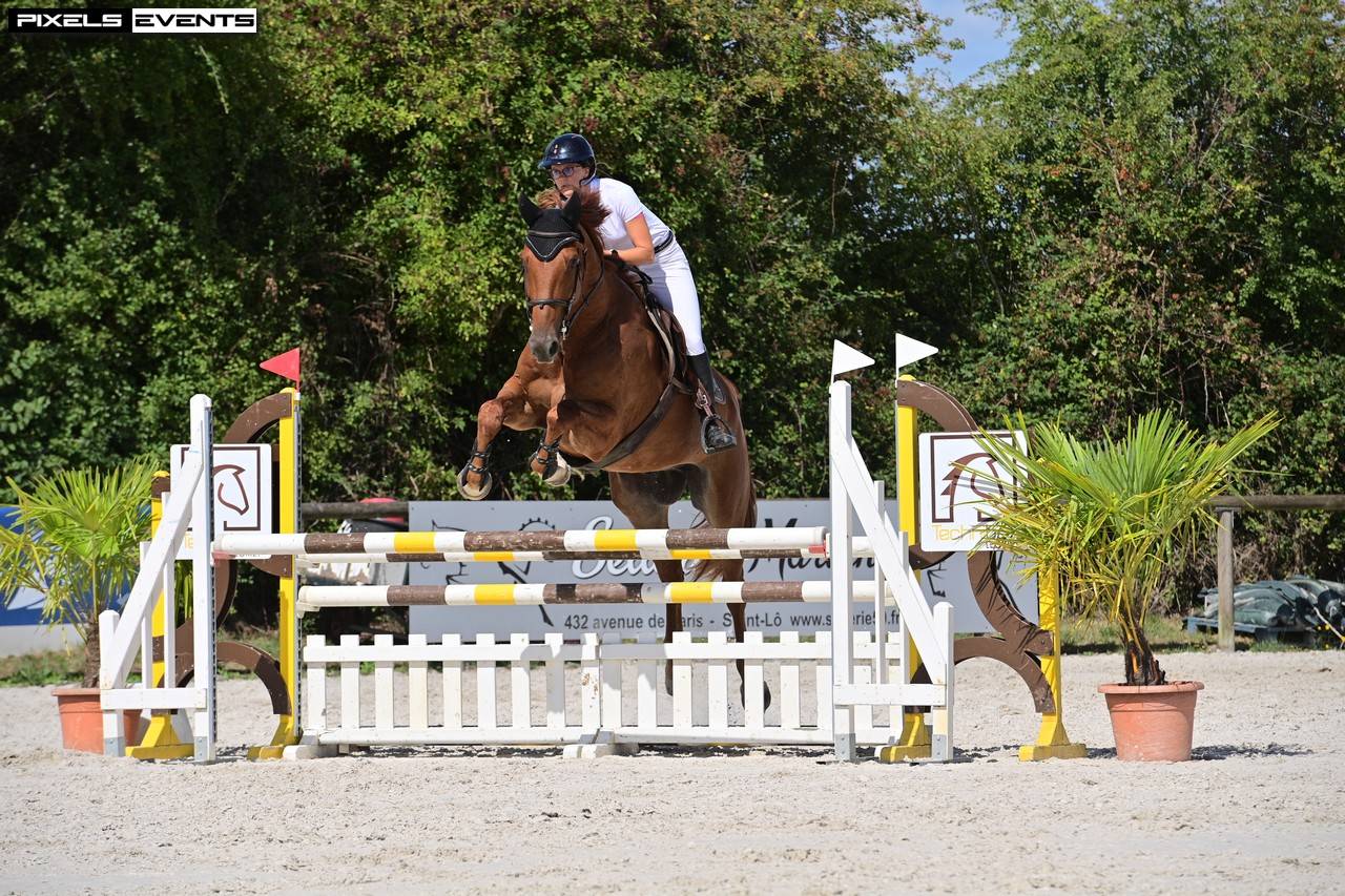 6 ans pour amateur elite