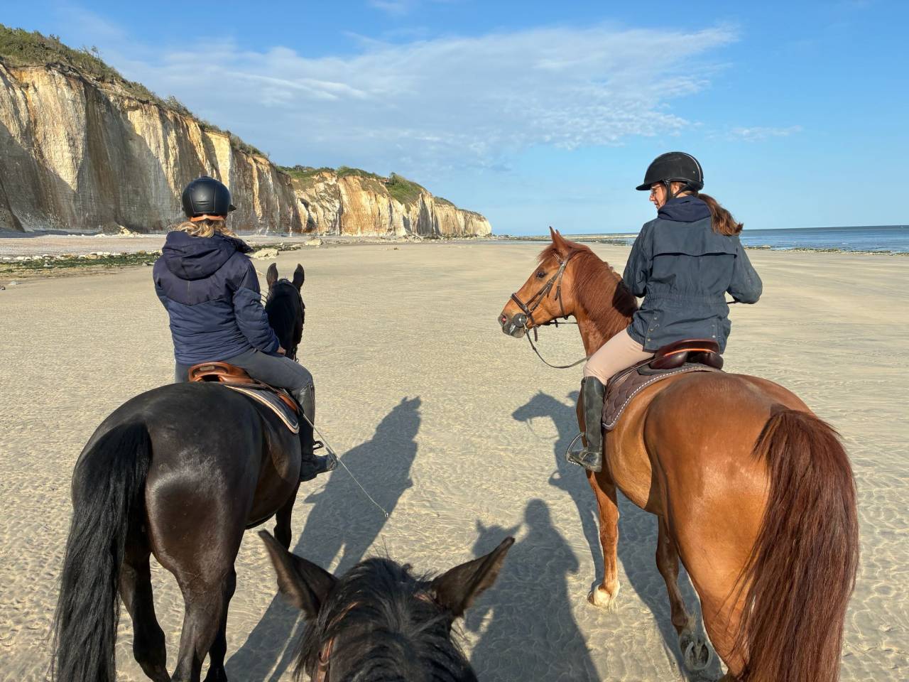 6 ans pour amateur elite
