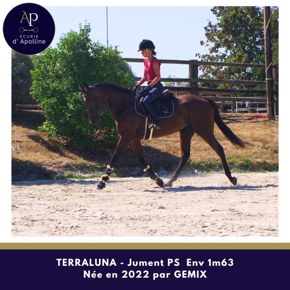 Merveilleuse 4 ans r&eacute;form&eacute;e des courses d'obstacle