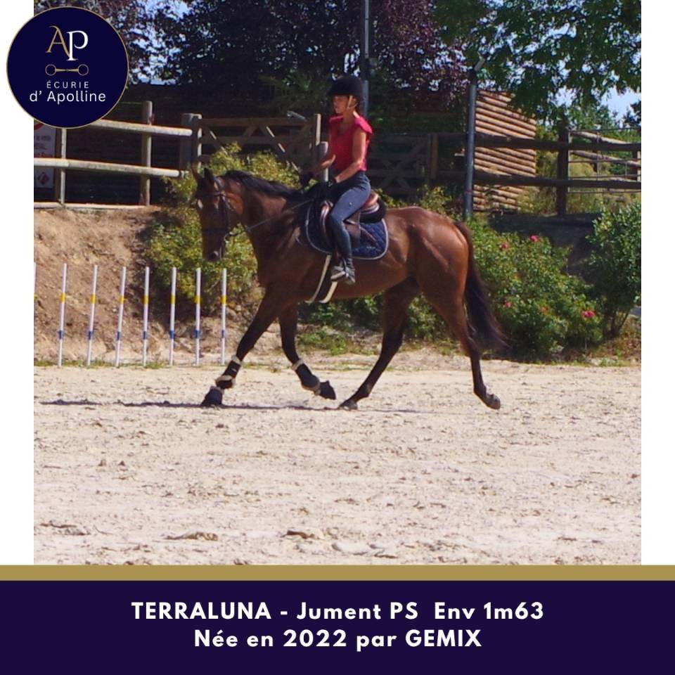 Merveilleuse 4 ans r&eacute;form&eacute;e des courses d'obstacle