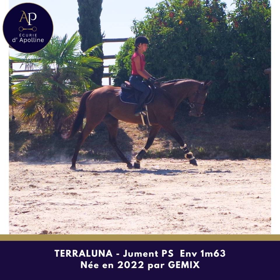 Merveilleuse 4 ans r&eacute;form&eacute;e des courses d'obstacle