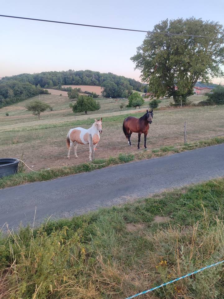 Pension au pr&eacute; 