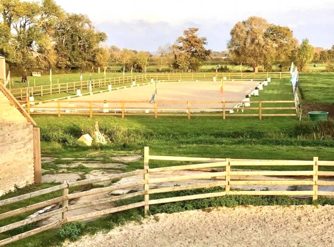 &Eacute;curie dressage 