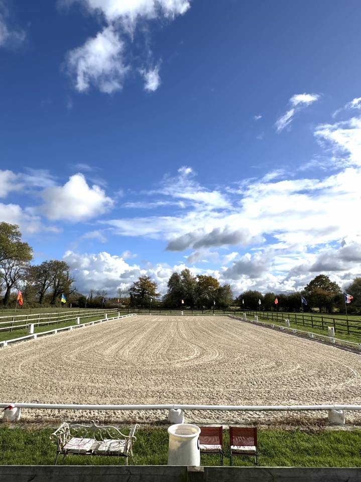 &Eacute;curie dressage 