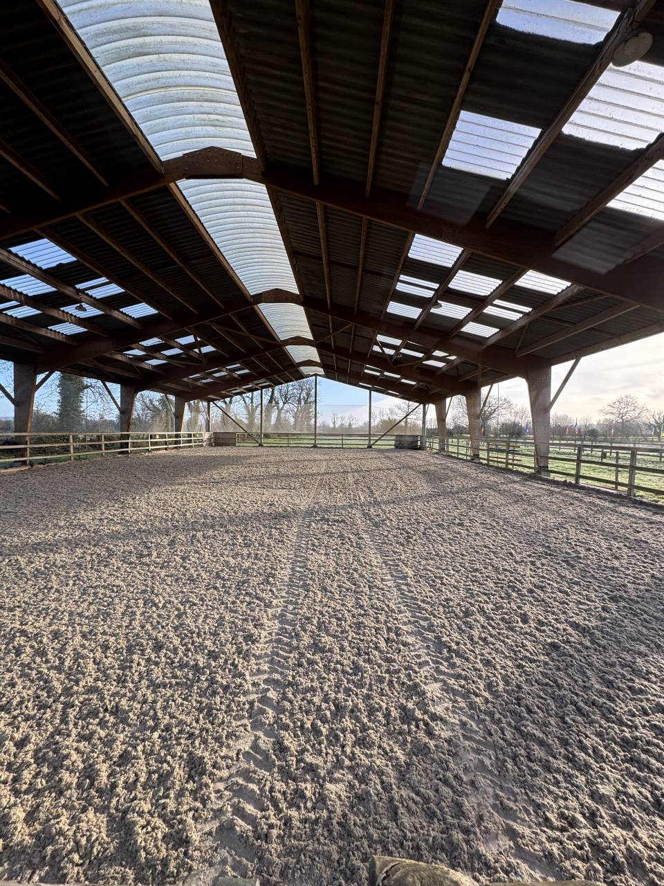 &Eacute;curie dressage 