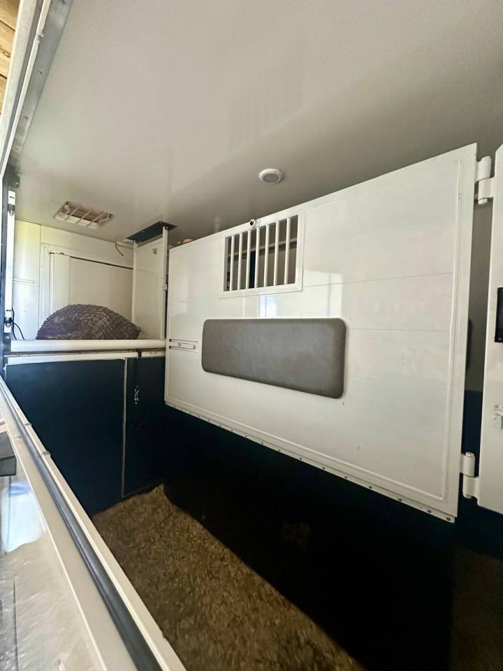 Camion chevaux Renault master 2.3L dCI