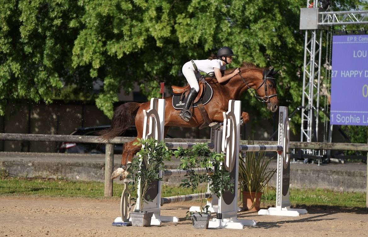 Recherche emploi Cavalier maison 
