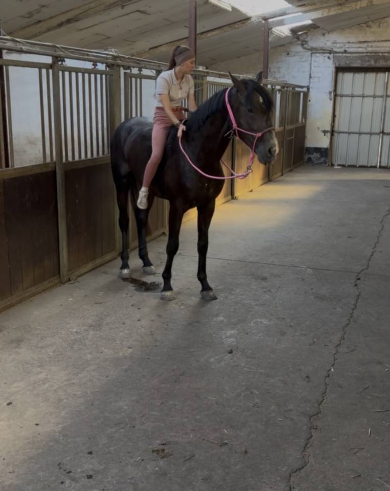 Cheval d&rsquo;exception 