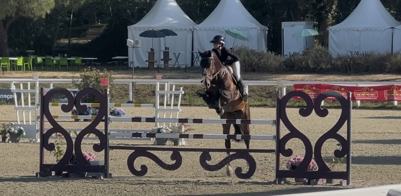 Cheval de Sport 8 ans tourne actuellement 125/130