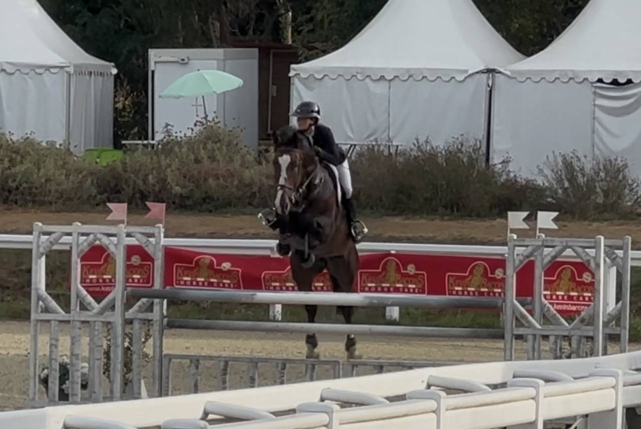 Cheval de Sport 8 ans tourne actuellement 125/130