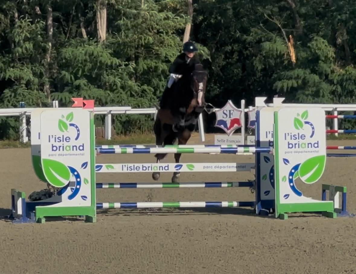 Cheval de Sport 8 ans tourne actuellement 125/130