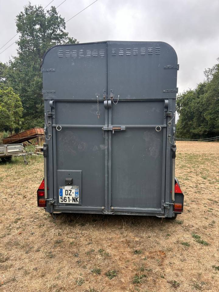 Vend Van 2 places IFOR WILLIAMS