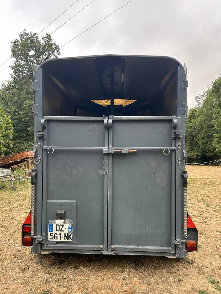 Vend Van 2 places IFOR WILLIAMS