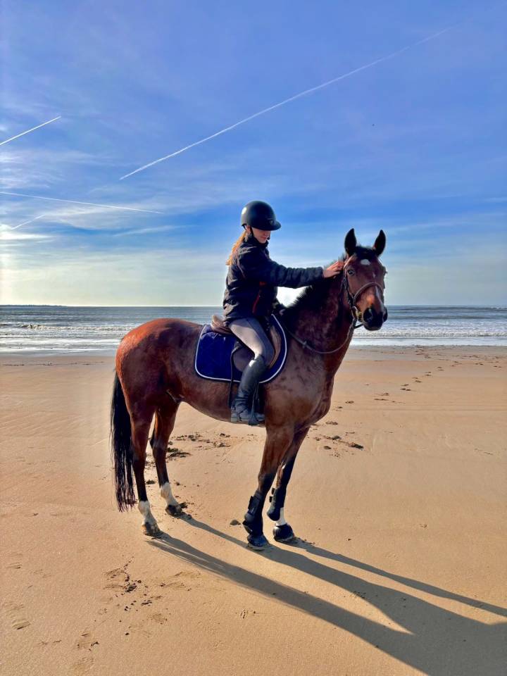 Jimmy Sun &ndash; Trotteur Fran&ccedil;ais &ndash; 7 ans