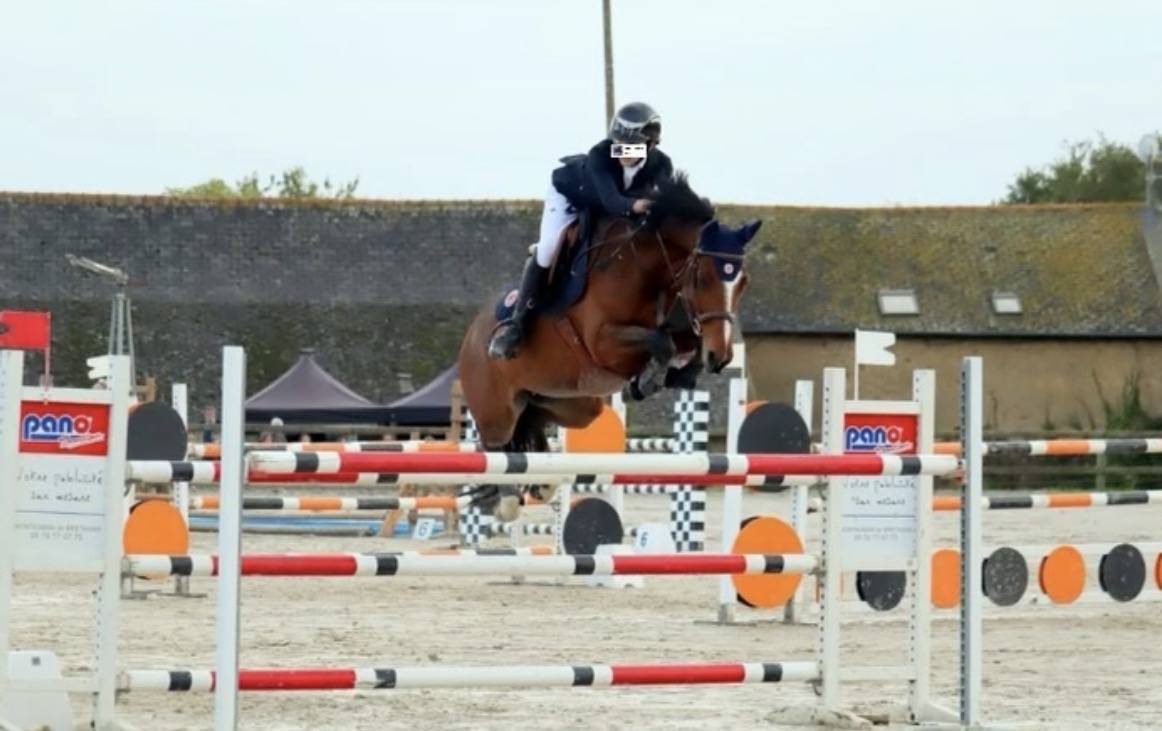 Ponette de grand prix &agrave; louer 
