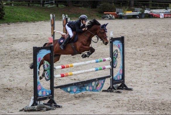 Ponette de grand prix &agrave; louer 