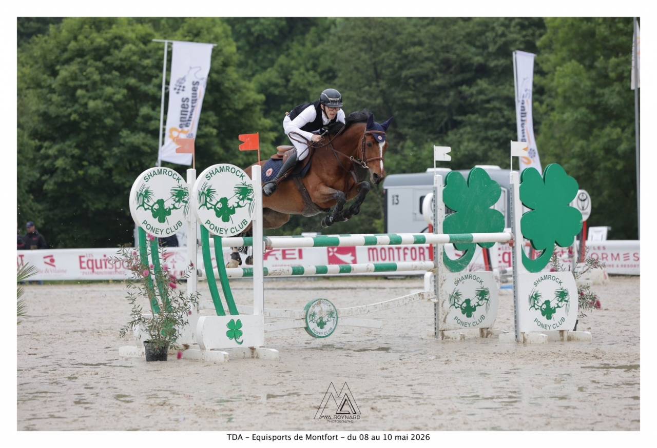 Ponette de grand prix &agrave; louer 