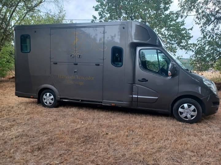 Camion THEAULT PROTEO 