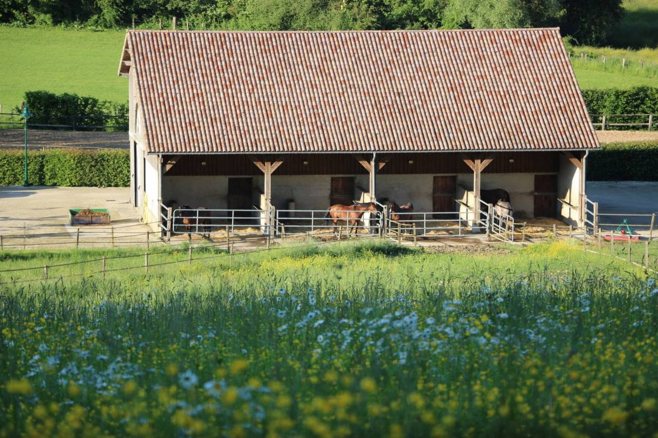 5 places disponibles Pension pr&eacute;/abri