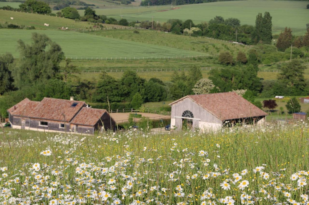 5 places disponibles Pension pr&eacute;/abri