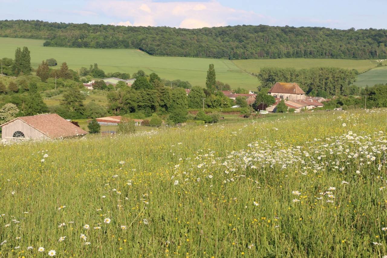 5 places disponibles Pension pr&eacute;/abri