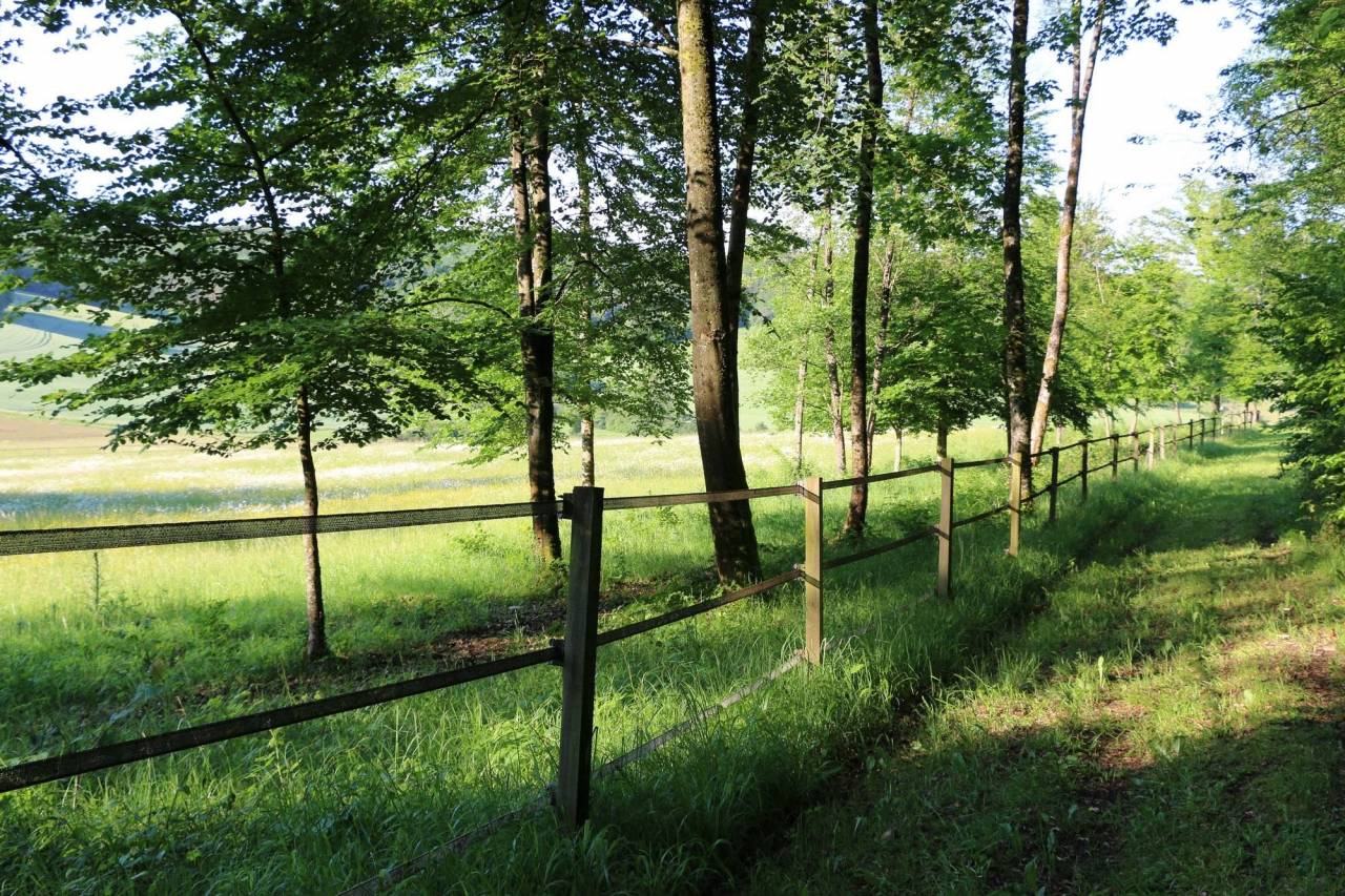5 places disponibles Pension pr&eacute;/abri