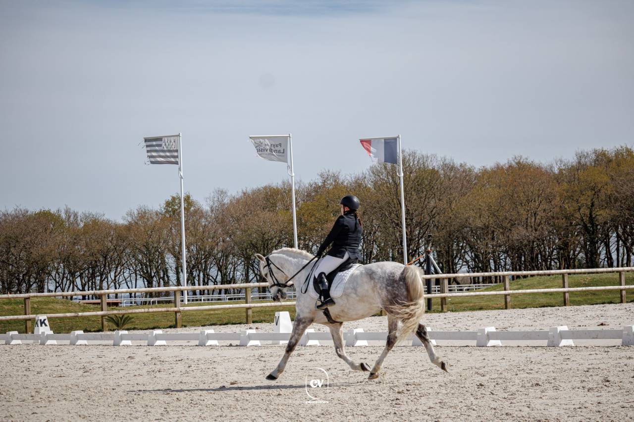 Cheval PRE PP 