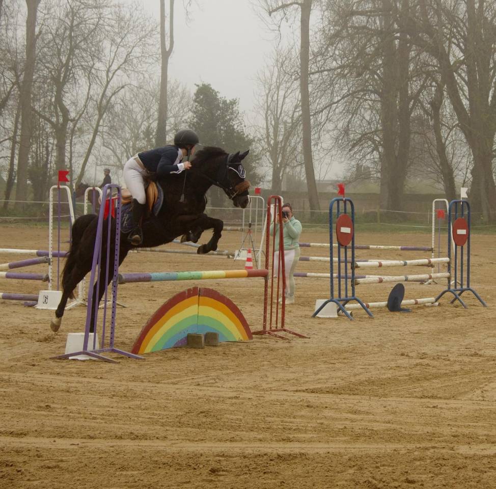 Poney par Daho du paradis 