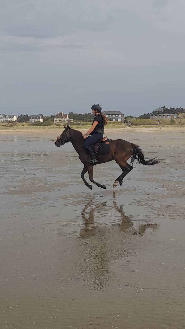 Poney par Daho du paradis 