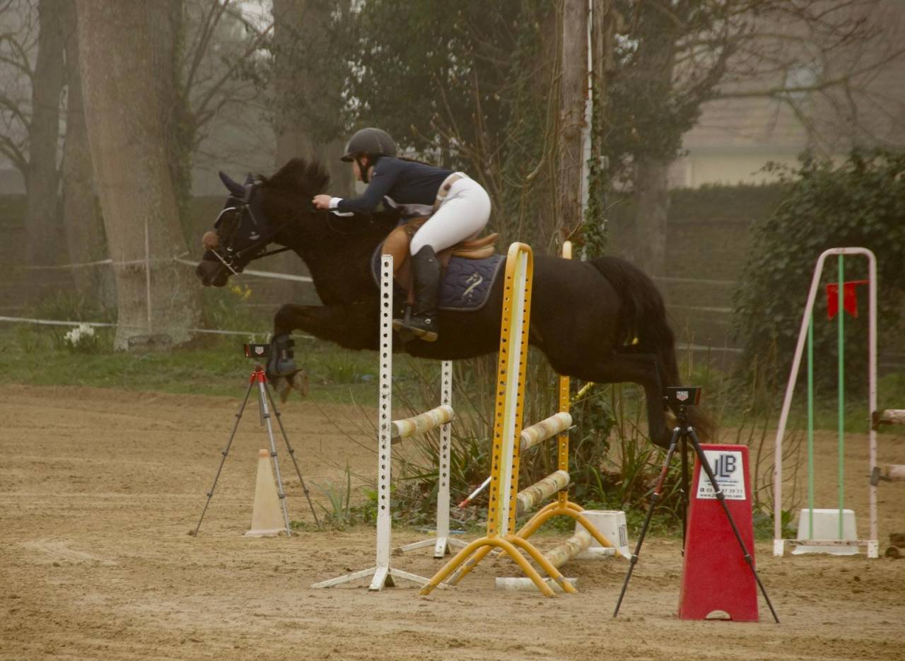 Poney par Daho du paradis 