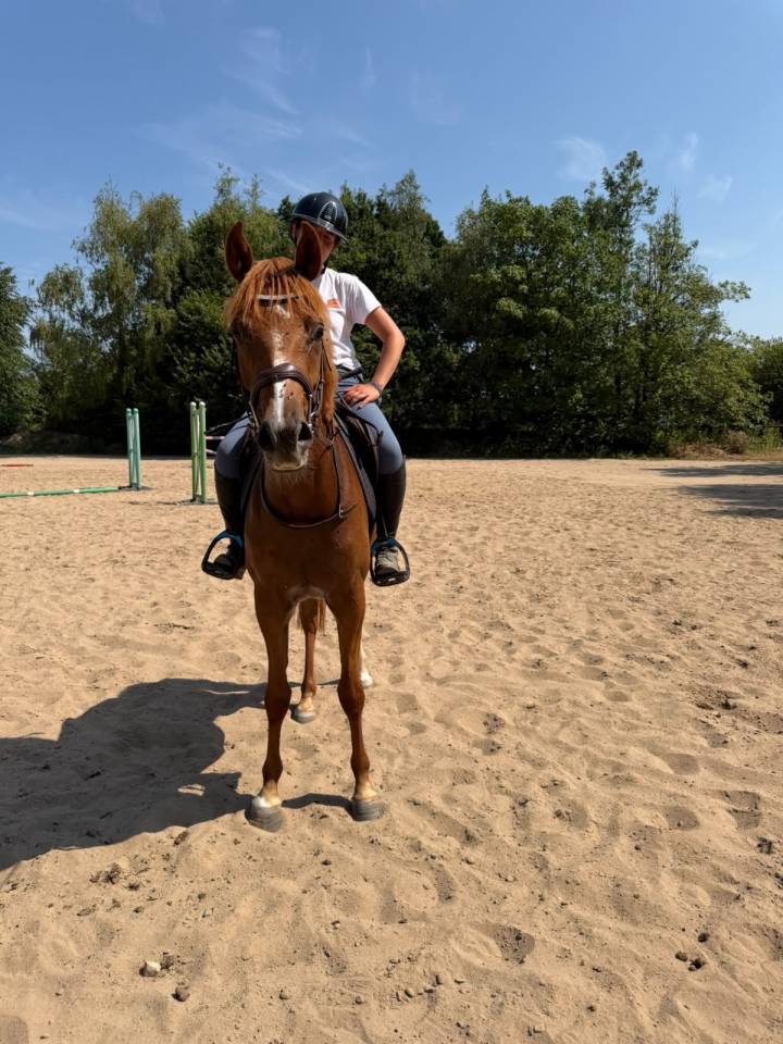 Magnifique cheval &agrave; vendre 