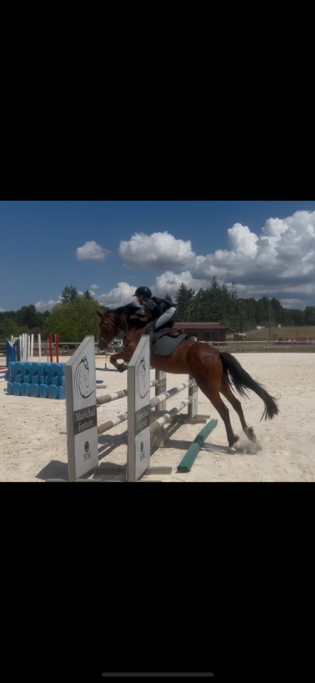 Poney PP 4 ans 