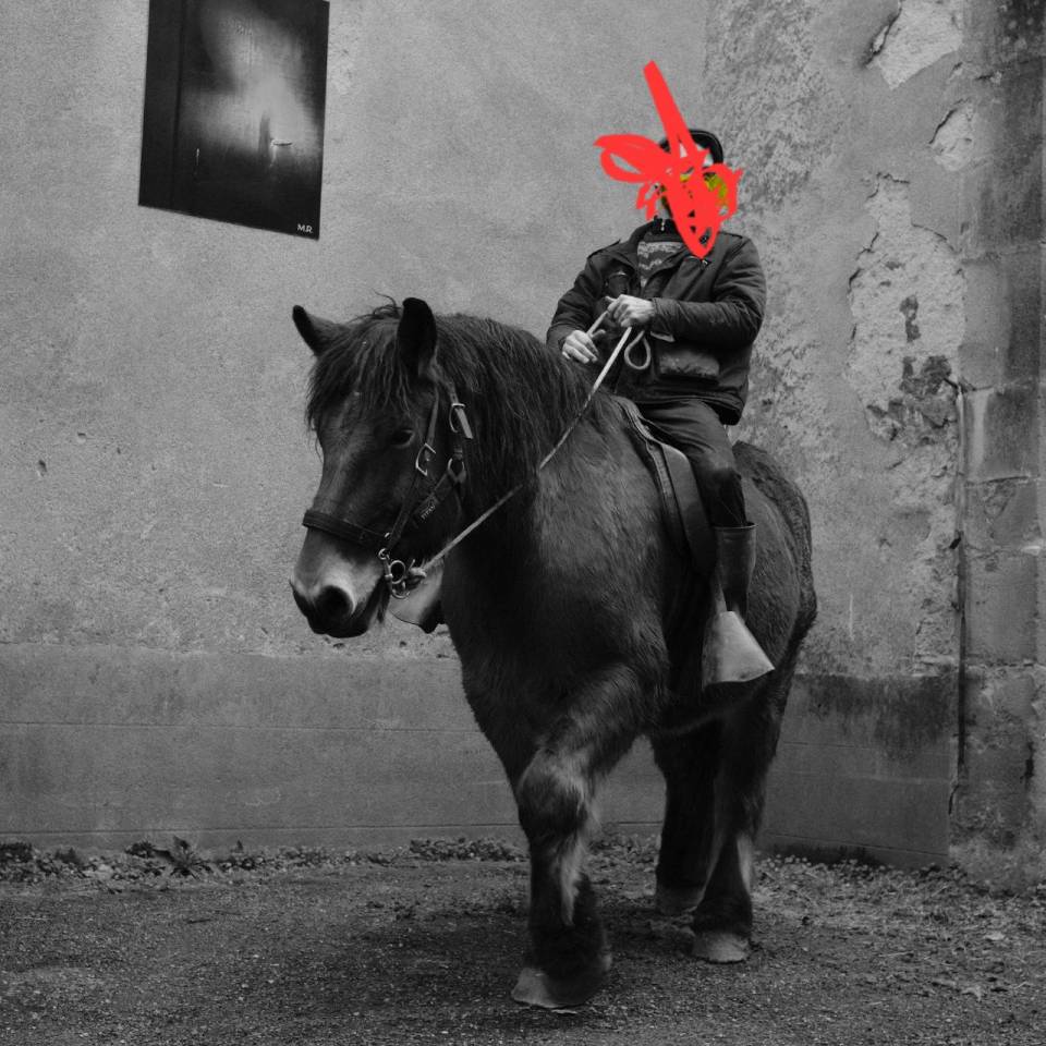 Cheval de trait ardennais