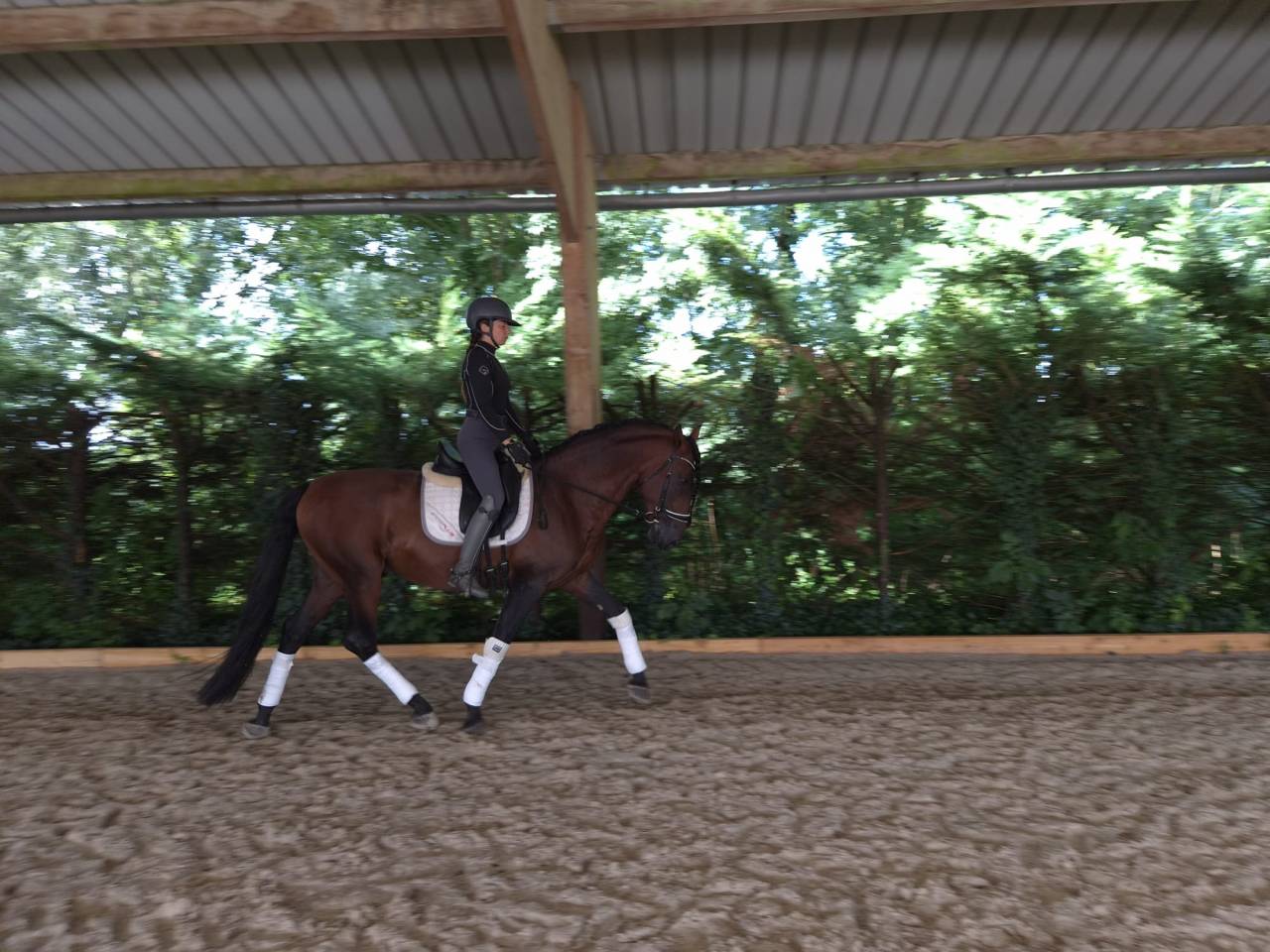 Etalon Pure race espagnole