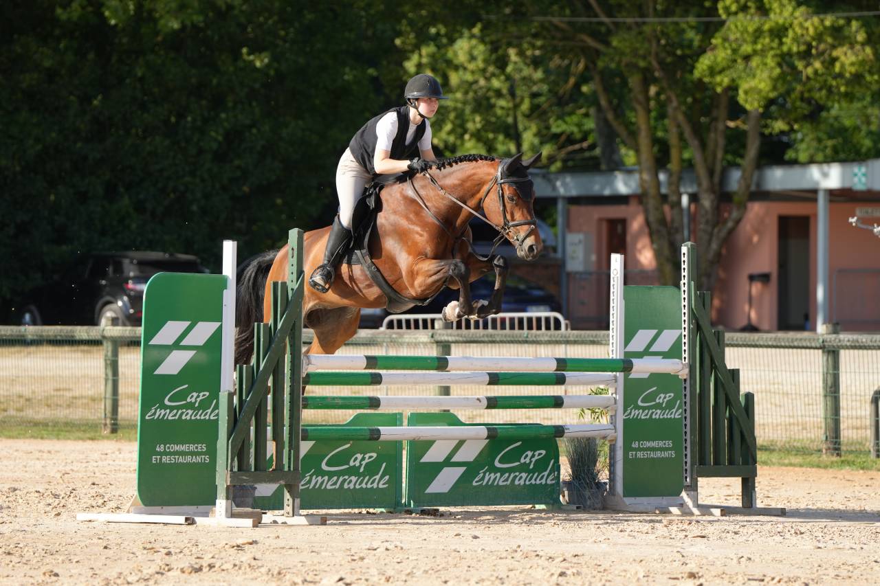 Jument KWPN 6 ans x-rays RAS prospect Am1/Elite/Hunter