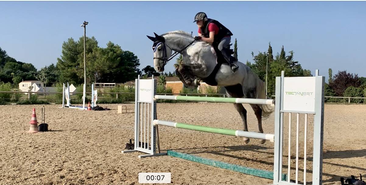 Cheval CSO demi-pension