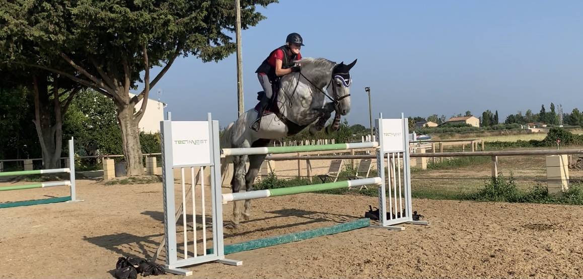 Cheval CSO demi-pension