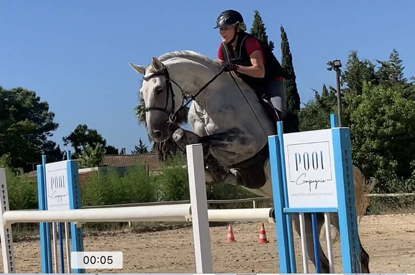 Cheval CSO demi-pension