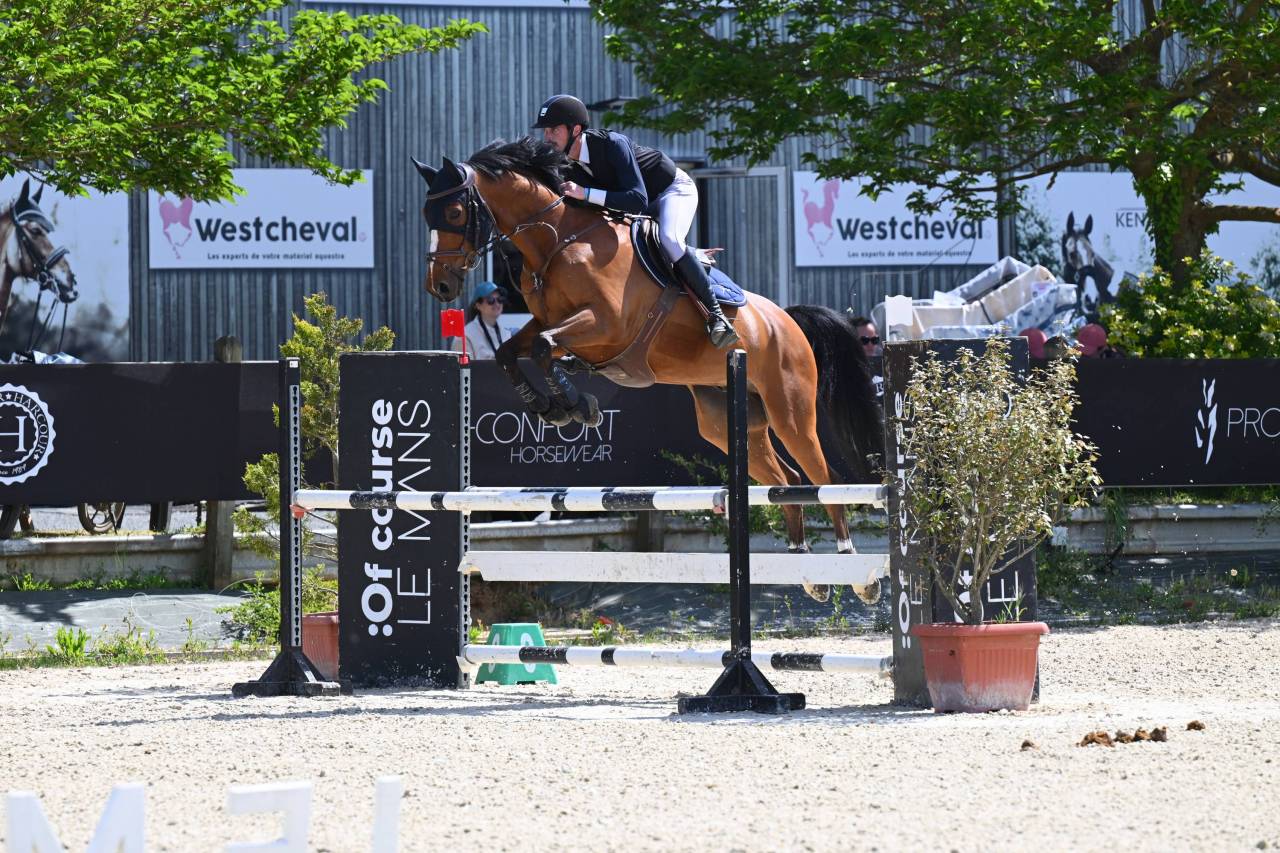 Hongre 9 ans &ndash; 1m67