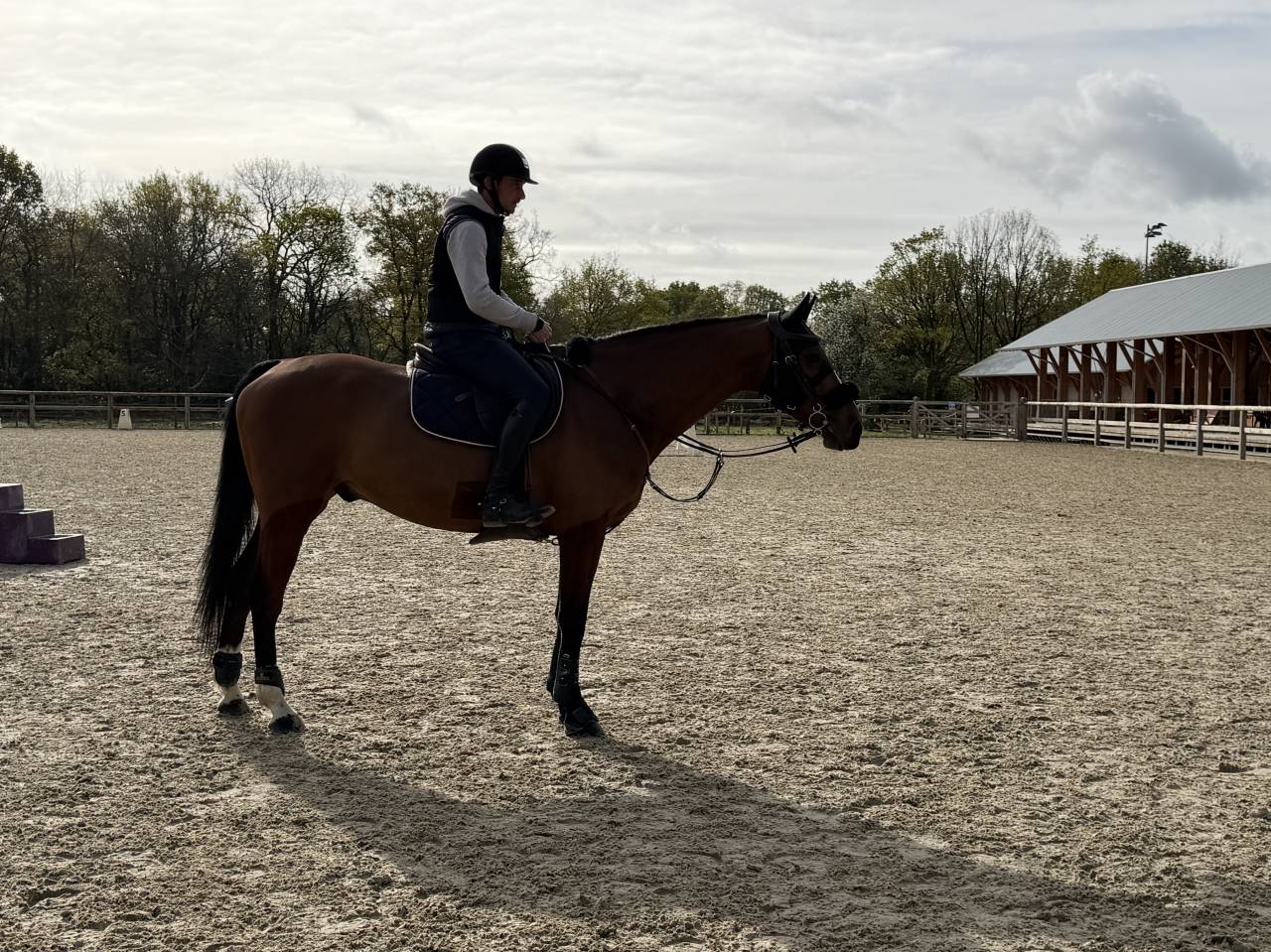 Hongre 9 ans &ndash; 1m67