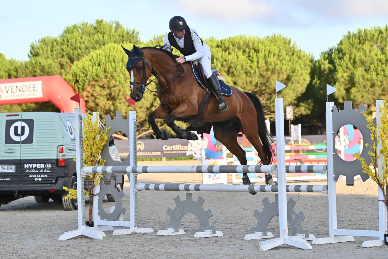 Hongre 9 ans &ndash; 1m67