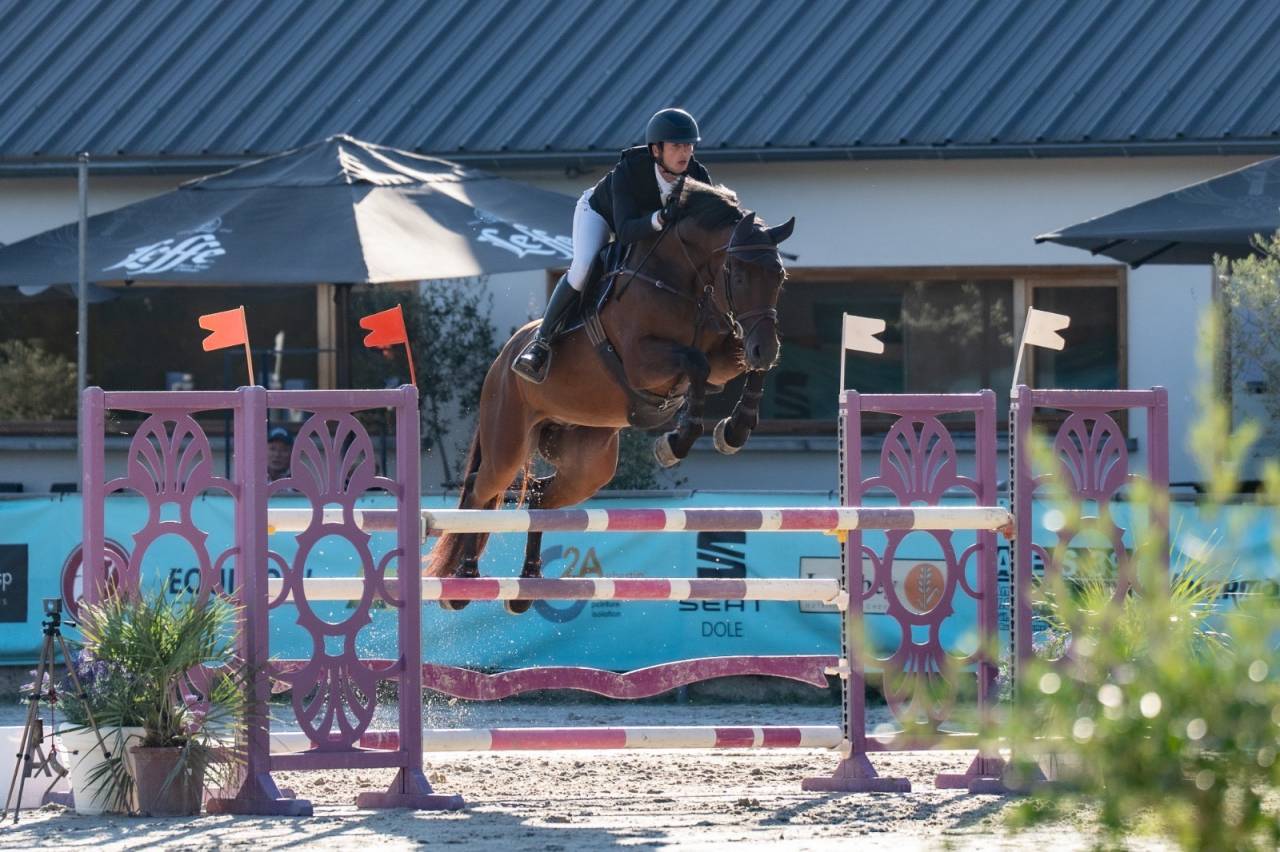 Super hongre pour sauter 135